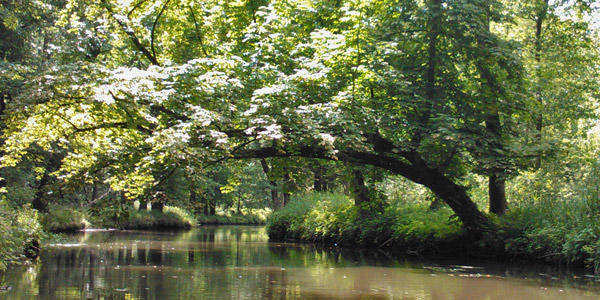 uebersicht hochwaldtour